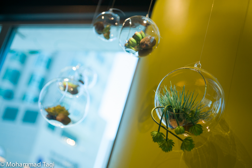 Interior design Kuwait cafe oxygen colorful Leica light