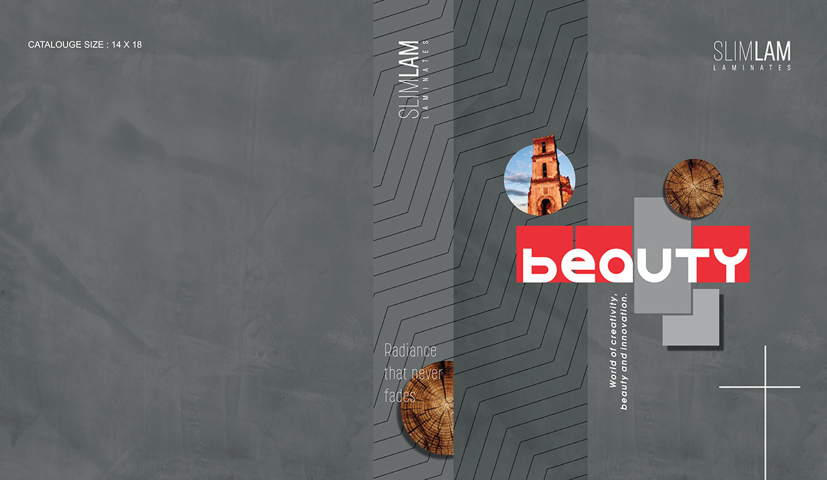 furniture Catalogue brochure magazine book cover typography   brand identity design branding 