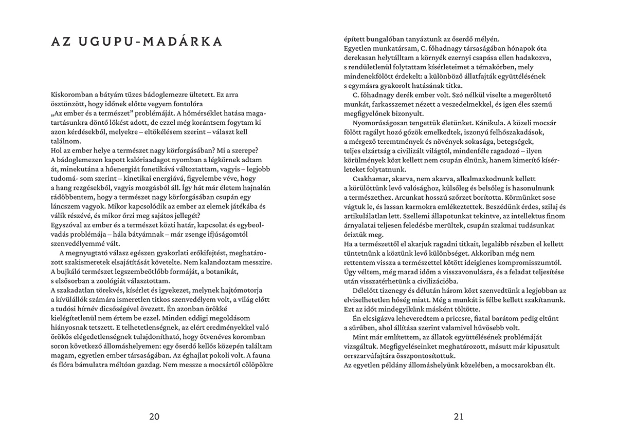 book book design ILLUSTRATION  InDesign Marble novels text typography  