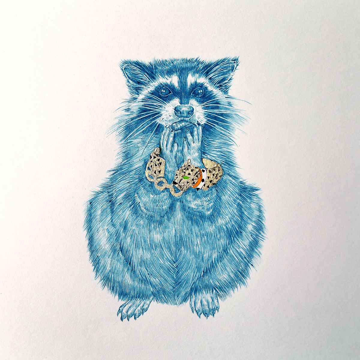 couture bandits raccoon fashion illustration niki pilkington art pencil hand drawn animals