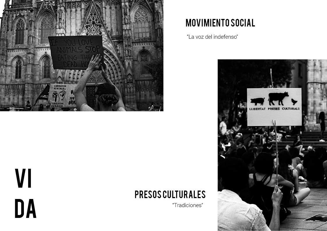 Fotografia Photography  raw black White Fotorreportaje barcelona city revolution