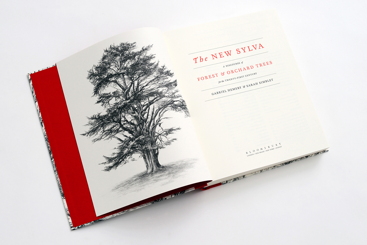 book design publishing   illustrated book books cover Layout serif