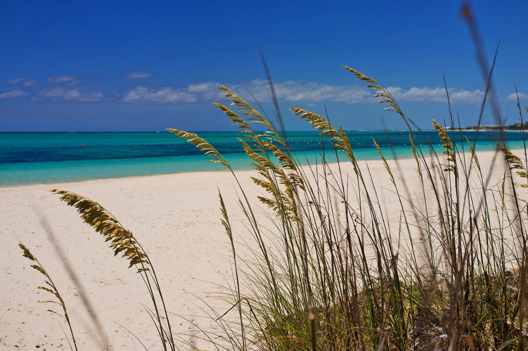 Ecology Nature conservation turks and caicos