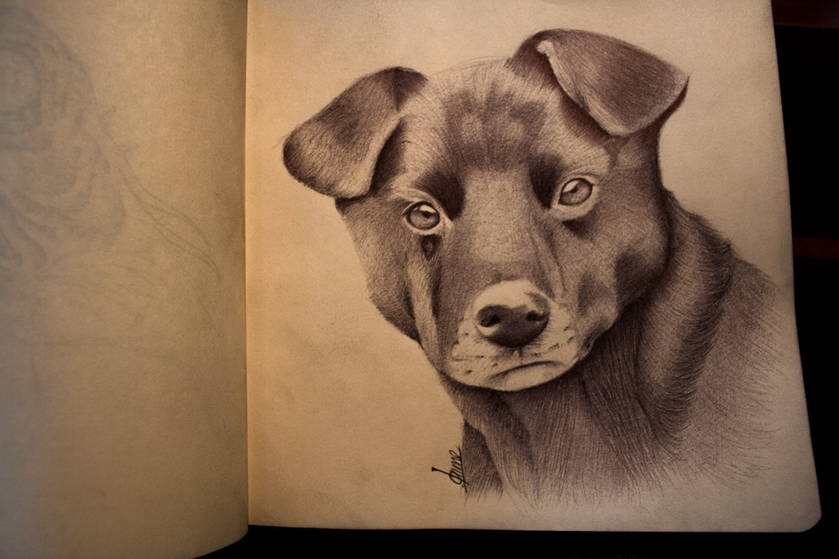 portrait pen draw sketch book ballpoint head girl dog animals lines pencil charcoal photo beauty