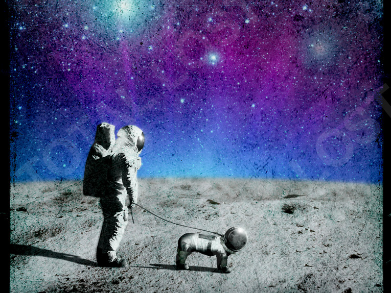 poster art Space  stars astronaut galaxy dog moon