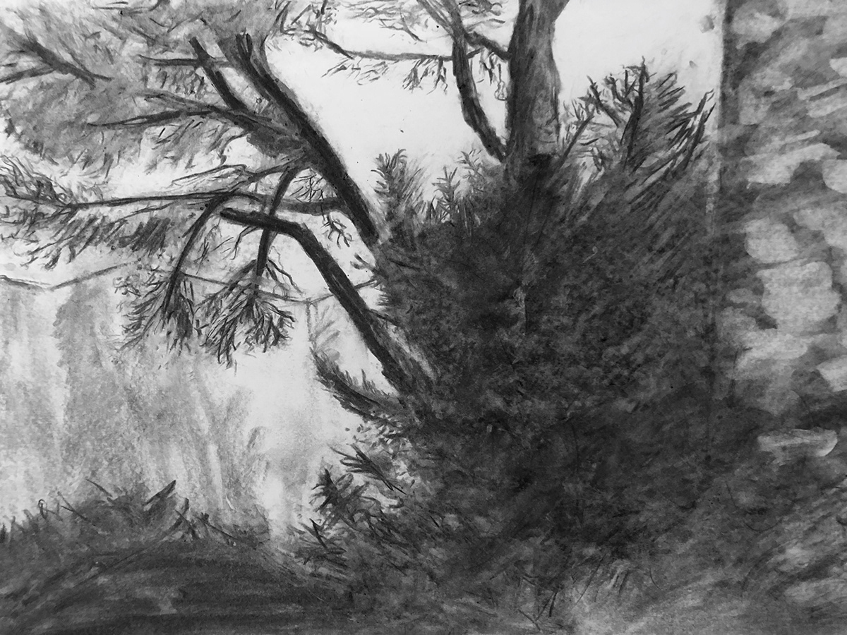charcoal painting   woods Fine Arts  Drawing  sketch design art Classic doodle