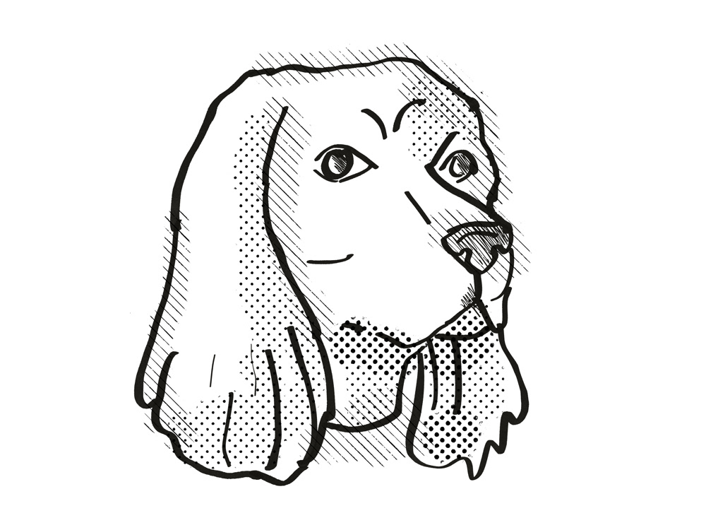 Cocker Spaniel Dog Breed Cartoon Retro Drawing on Behance