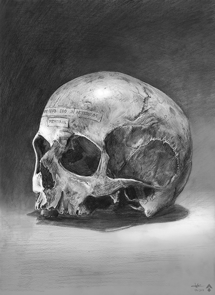 skull photo vintage study gloom dark skull design art