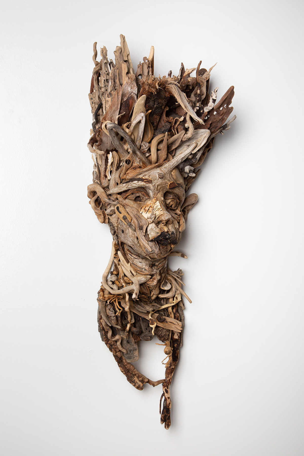 driftwood found object art Assemblage wood sculpture alto-relief