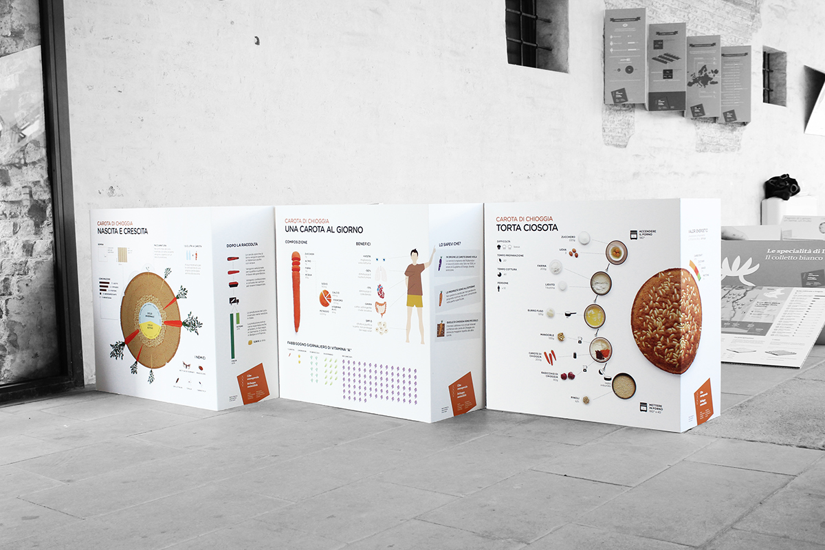 carrot infographic design Chioggia Italy veneto Food  iuav modesign gotham panels information poster photo