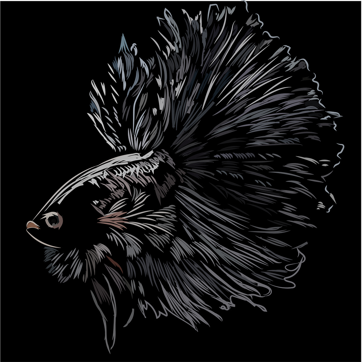 fighter fishes Art and illustration under water life brush tool adobe illustrator