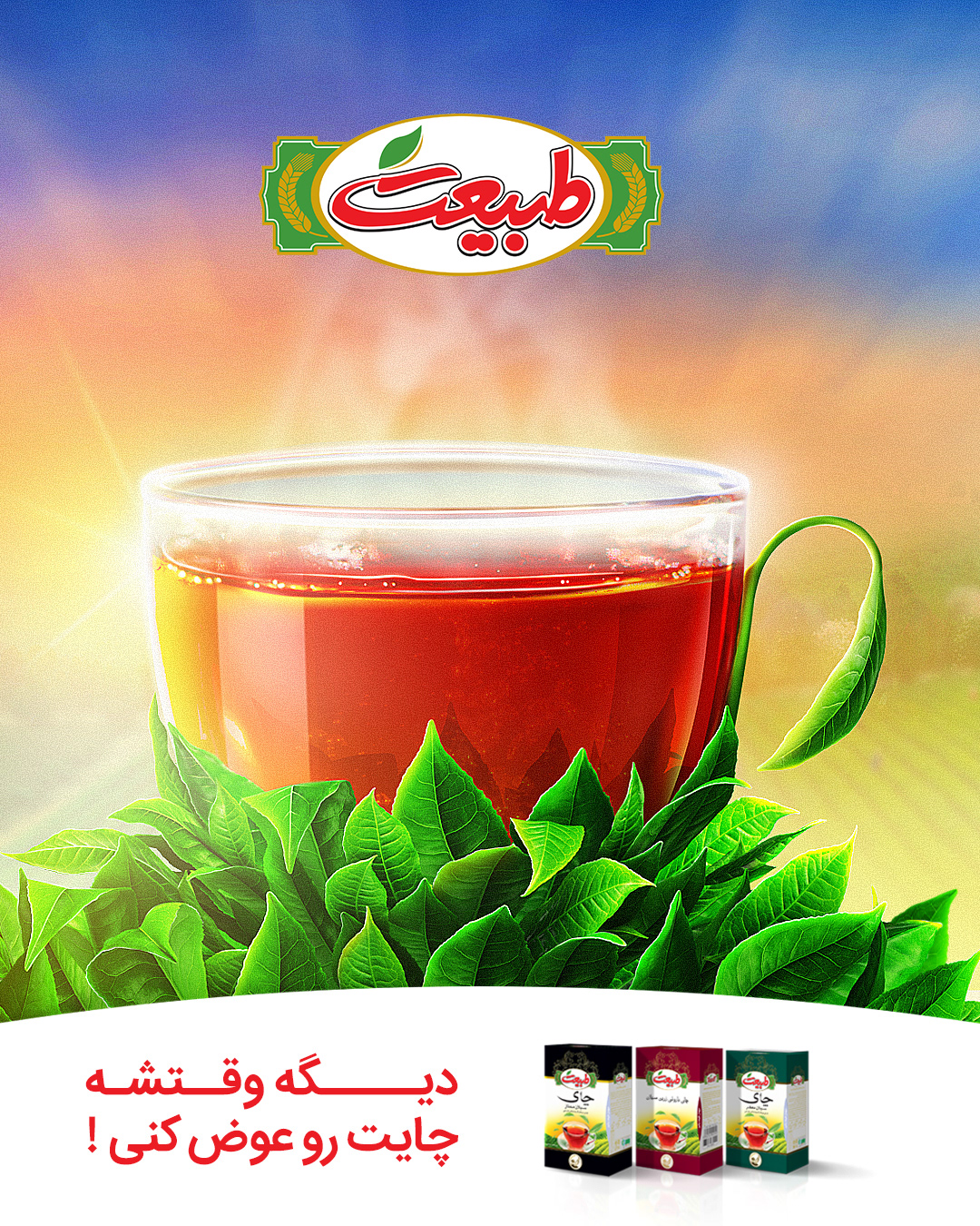 tea tabiat leaves left Plant grow Steam Tehran Iran red