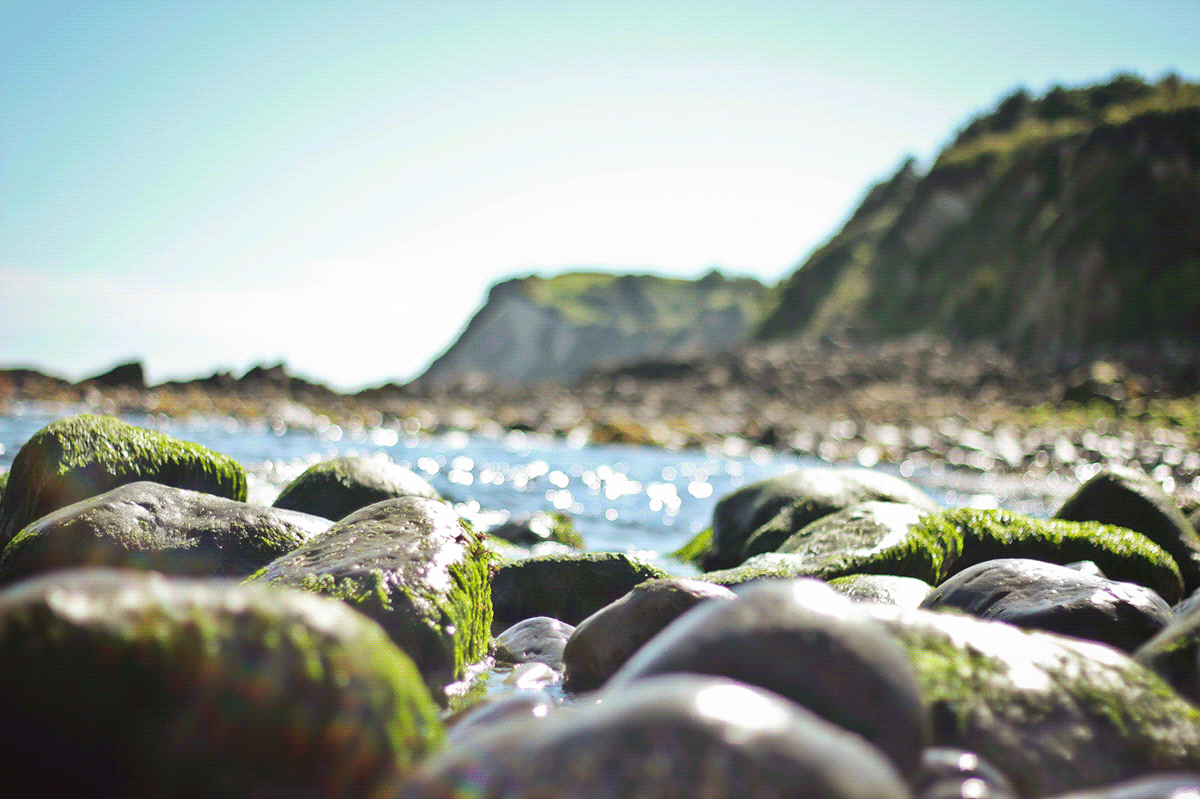 Canon camera creative beach portrait Landscape macro