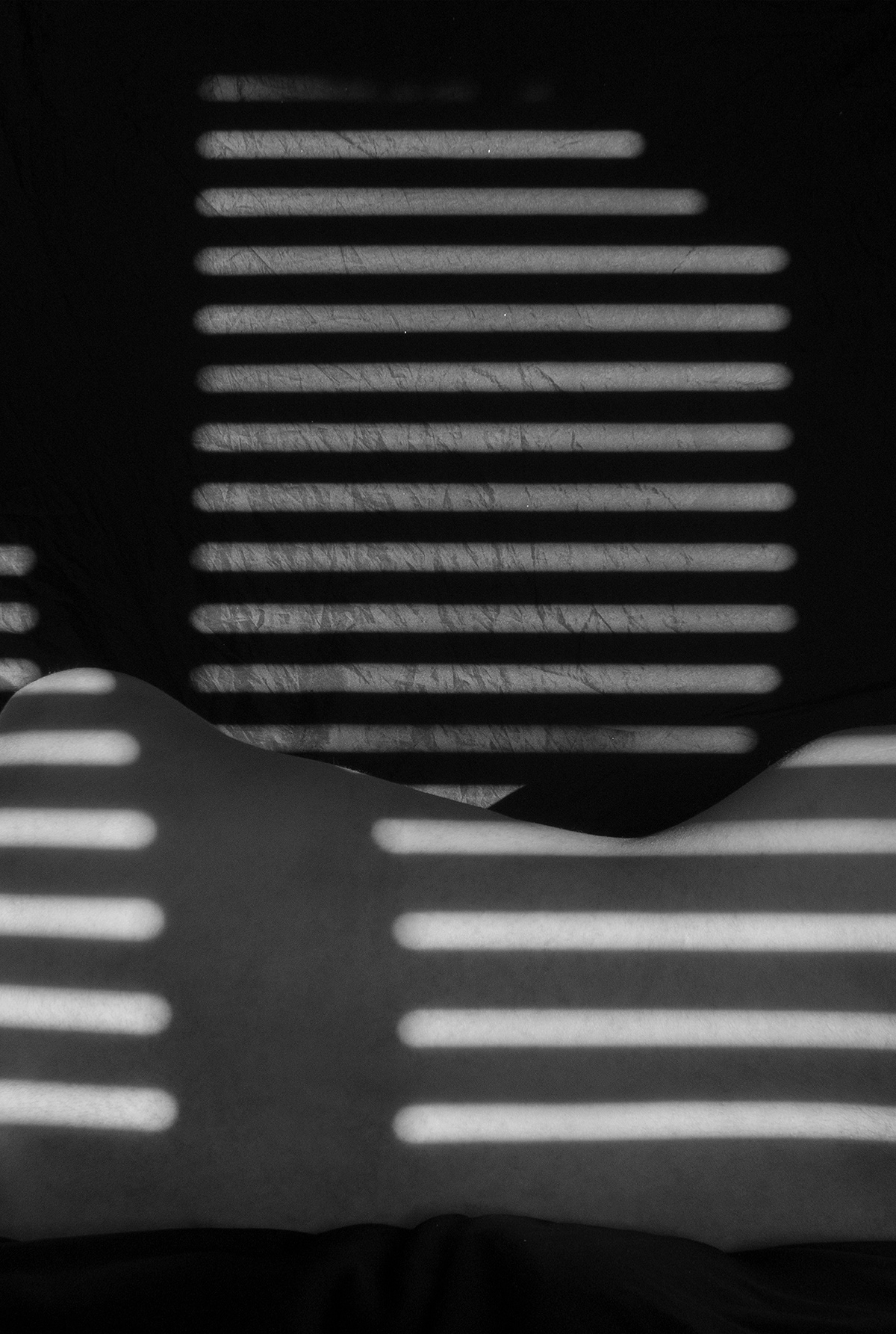 nudes bodies light black and white simetry