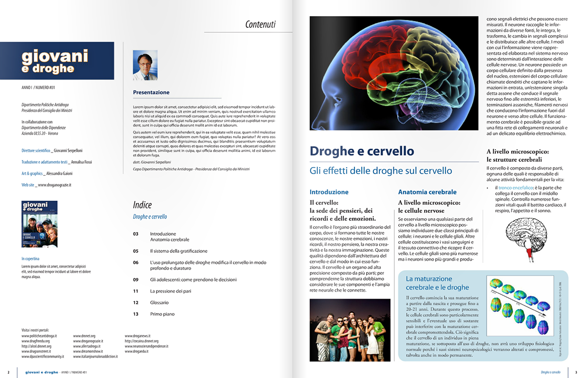 giovani  droghe  cervello  prevenzione magazine  rivista italia  governo neuroscienze brain Neuroscience corteccia  cerebrale