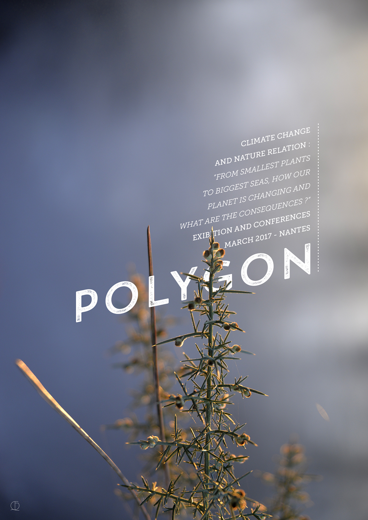 graphism photo poster Nature challenge polygon geometric design type font