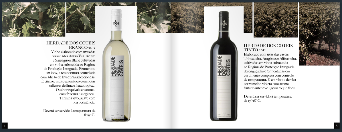 wine digital catalog Brand activation