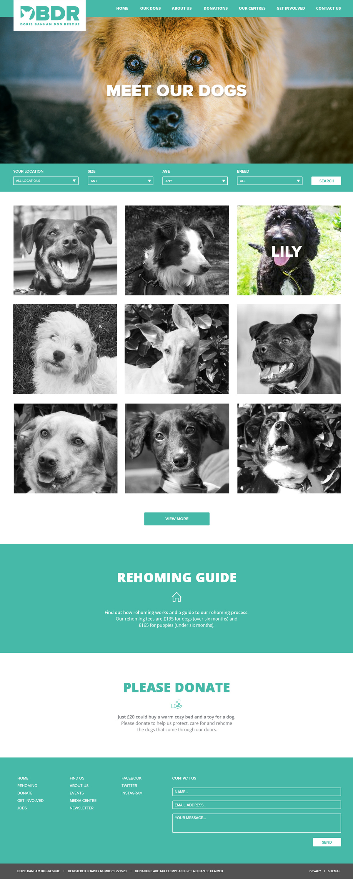 Adobe Portfolio charity dogs photos design creative new graphic Fun best friends donate promote