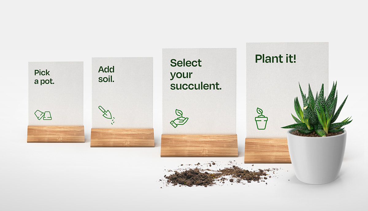 plants Plant Shop branding  brand identity Logo Design elegant minimal pop up store women care