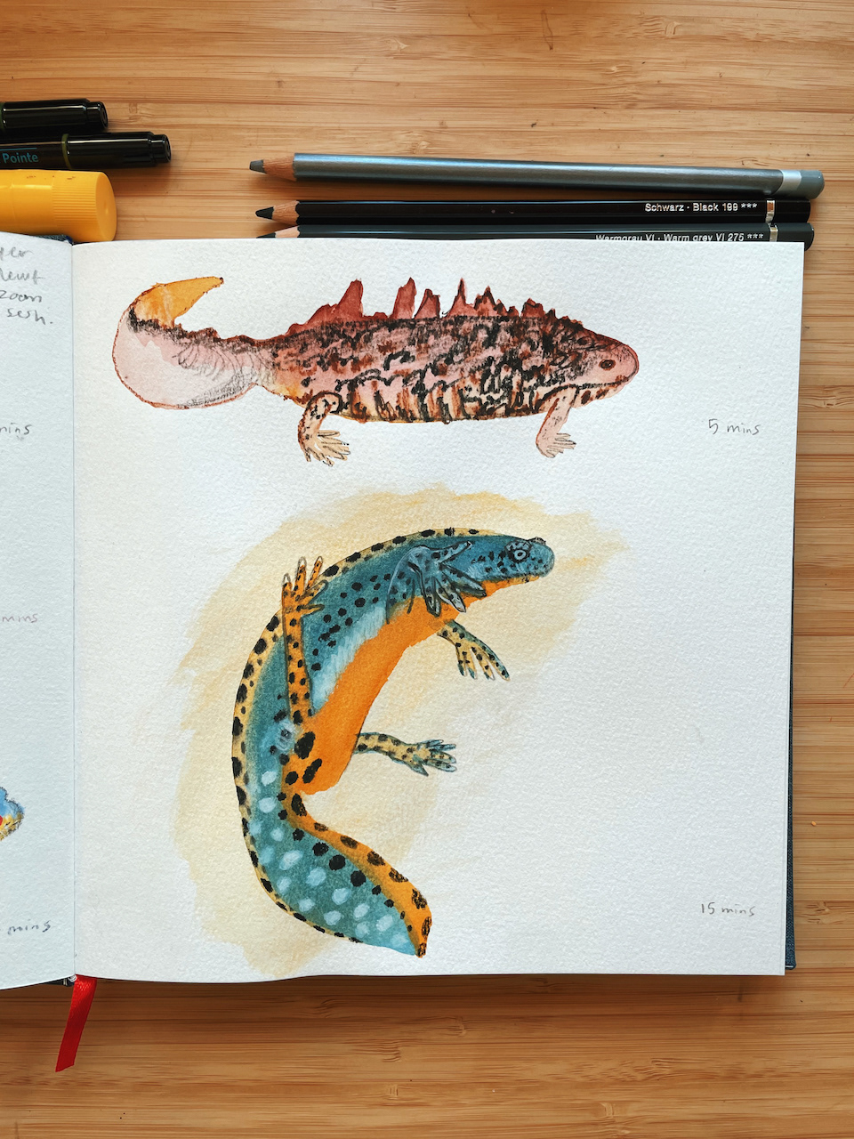animal illustration lizards salamanders sheep sketchbook