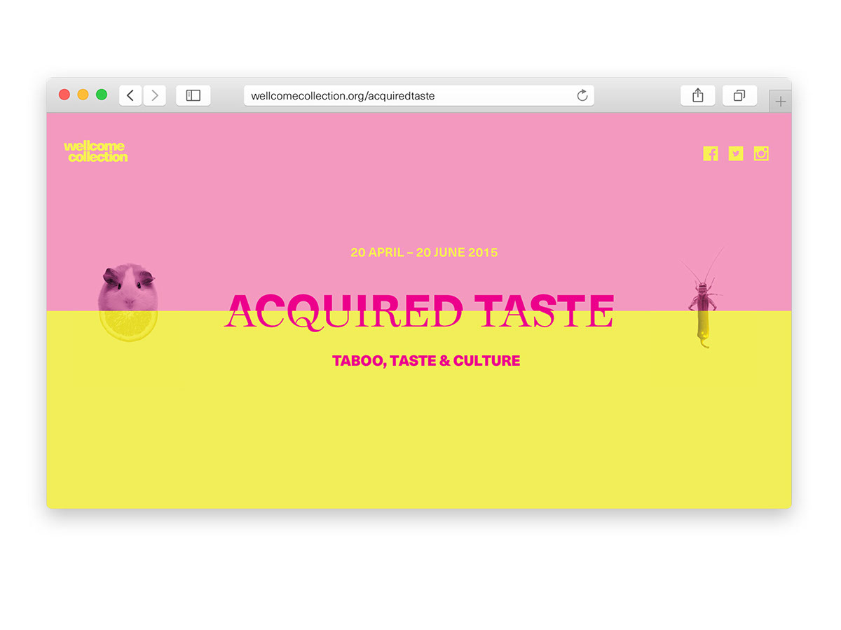 acquired taste Culinary taboo culture Food  odd exotic western Exhibition  design posters campaign taste senses Catalogue
