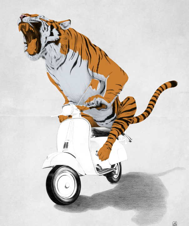 tiger Cat Nature Bike vespa Vehicle wheels riding animal rob snow illustrations pencil