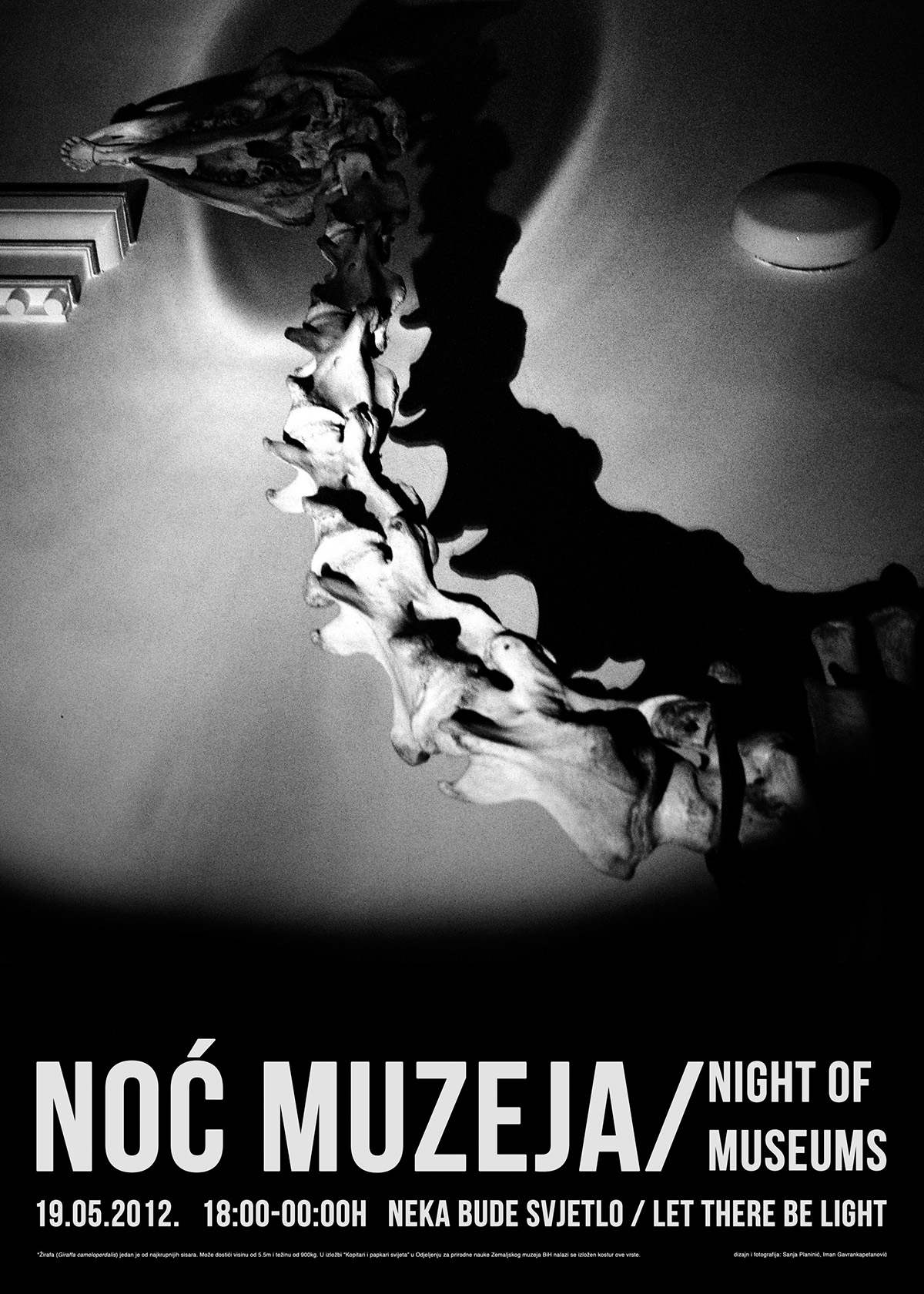 museum night poster light