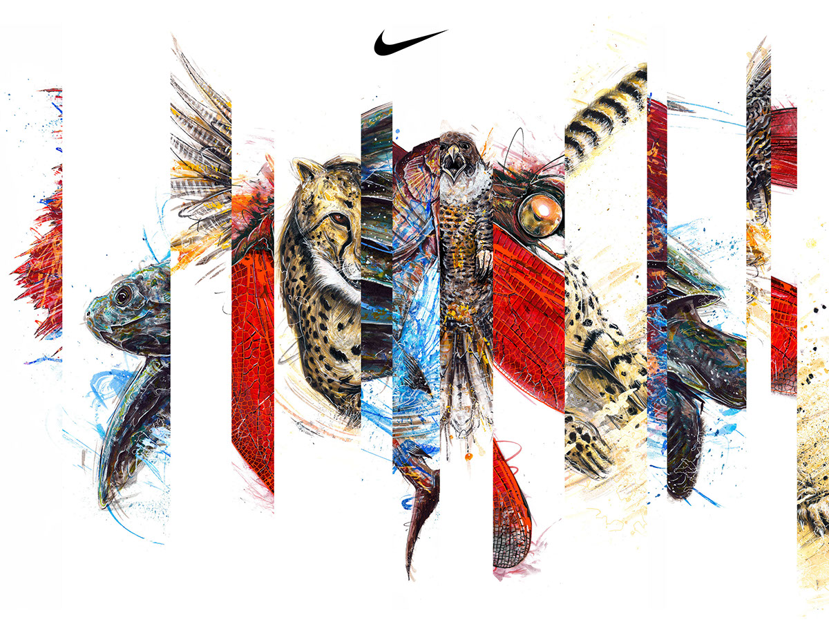 Nike wild tom manning design  advertising  cheetah dragonfly Sailfish peregrine falcon Leatherback Turtle energy power sports montage