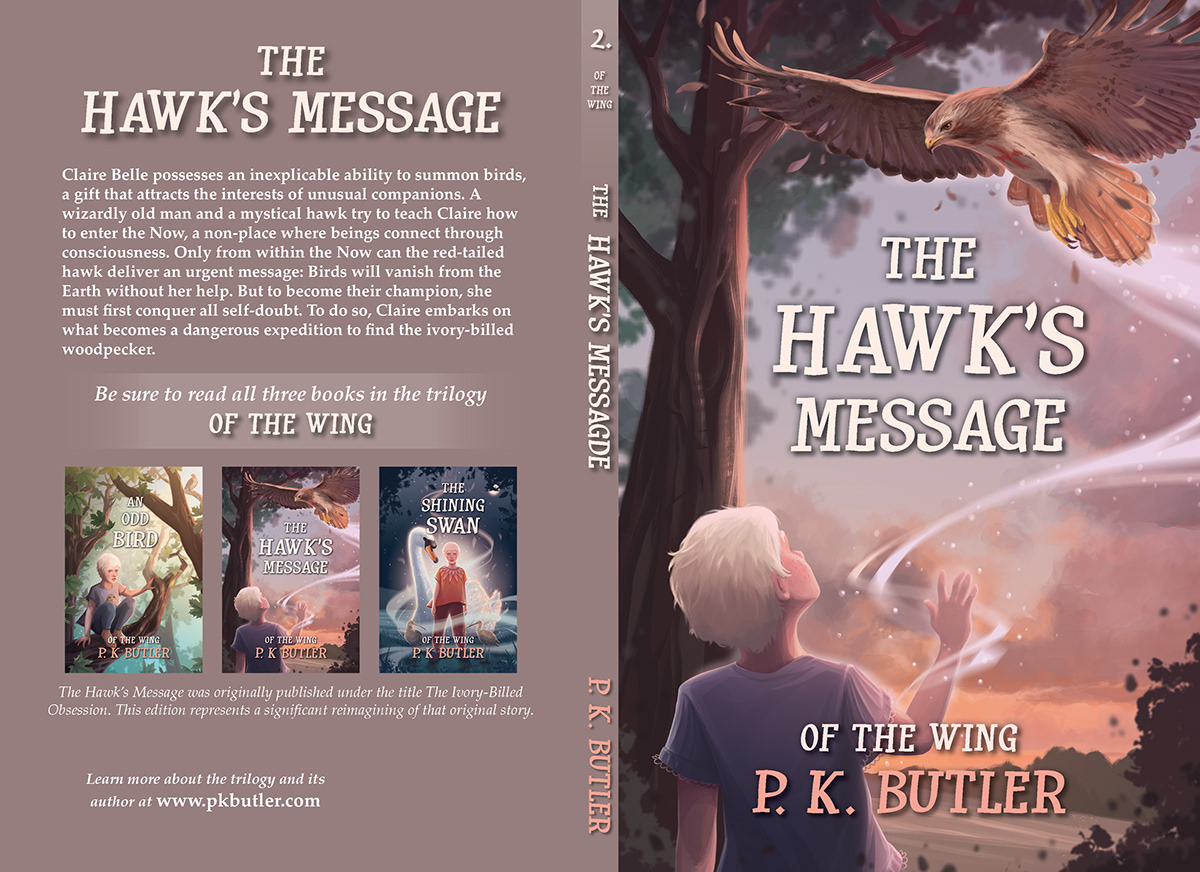 book cover design layout with typography for children's fantasy book trilogy self publishing author 