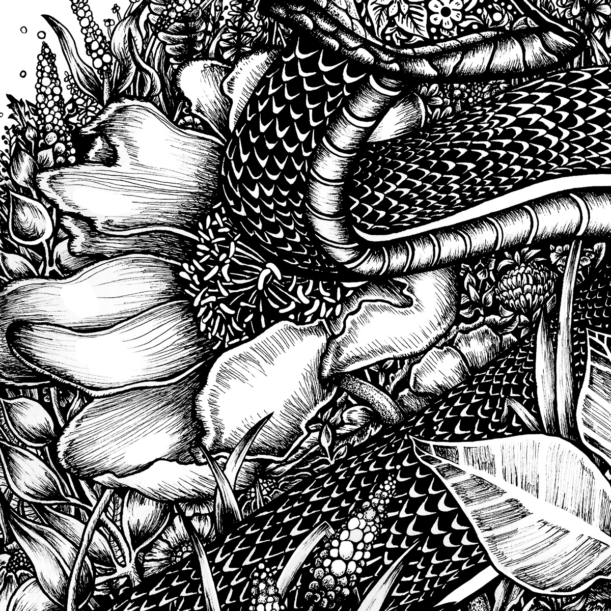 ink poster plakat black and white black work hand drawing painting   snake animal meadow