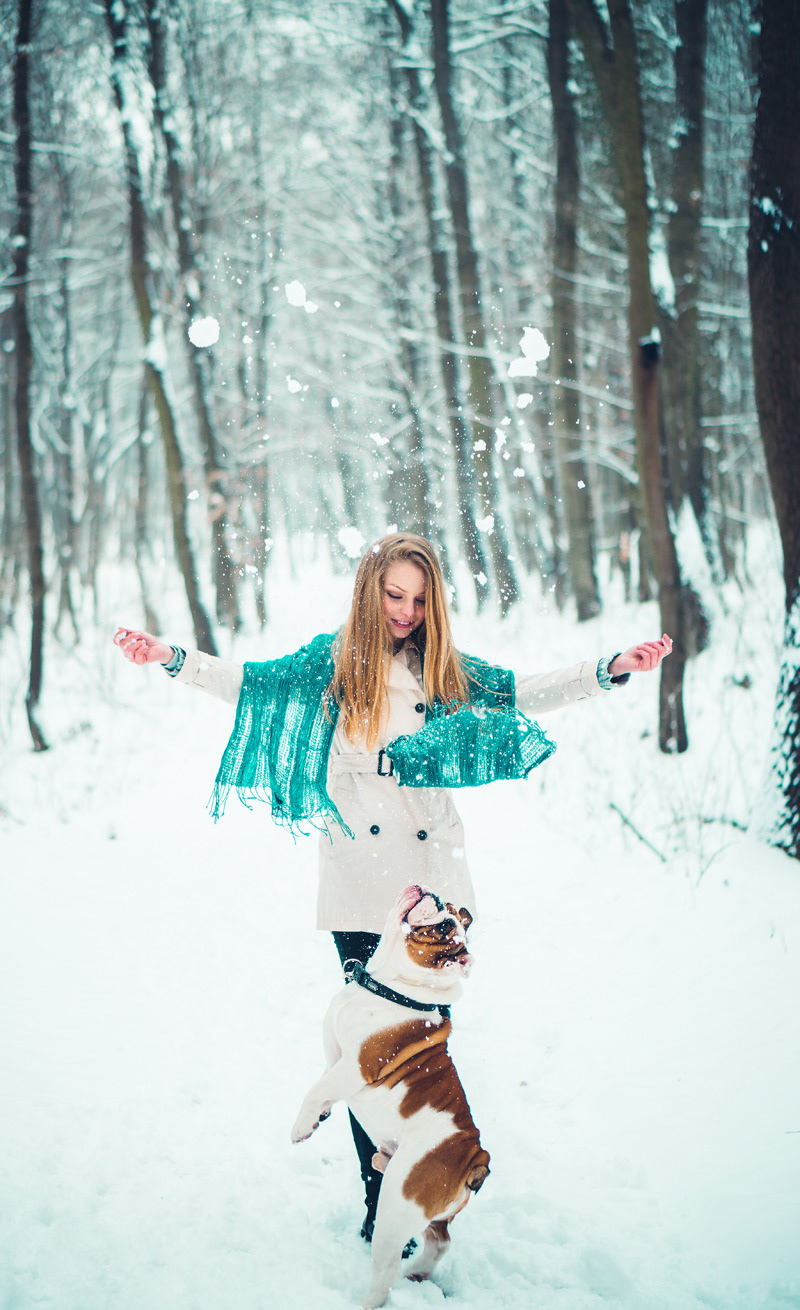 blonde winter snow bulldog Blue Eyes portrait scarf forest Sony alpha6000