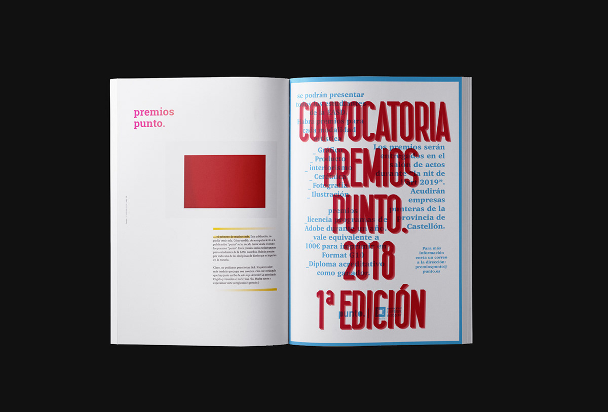 editorial design  graphic design  typography   magazine editorial