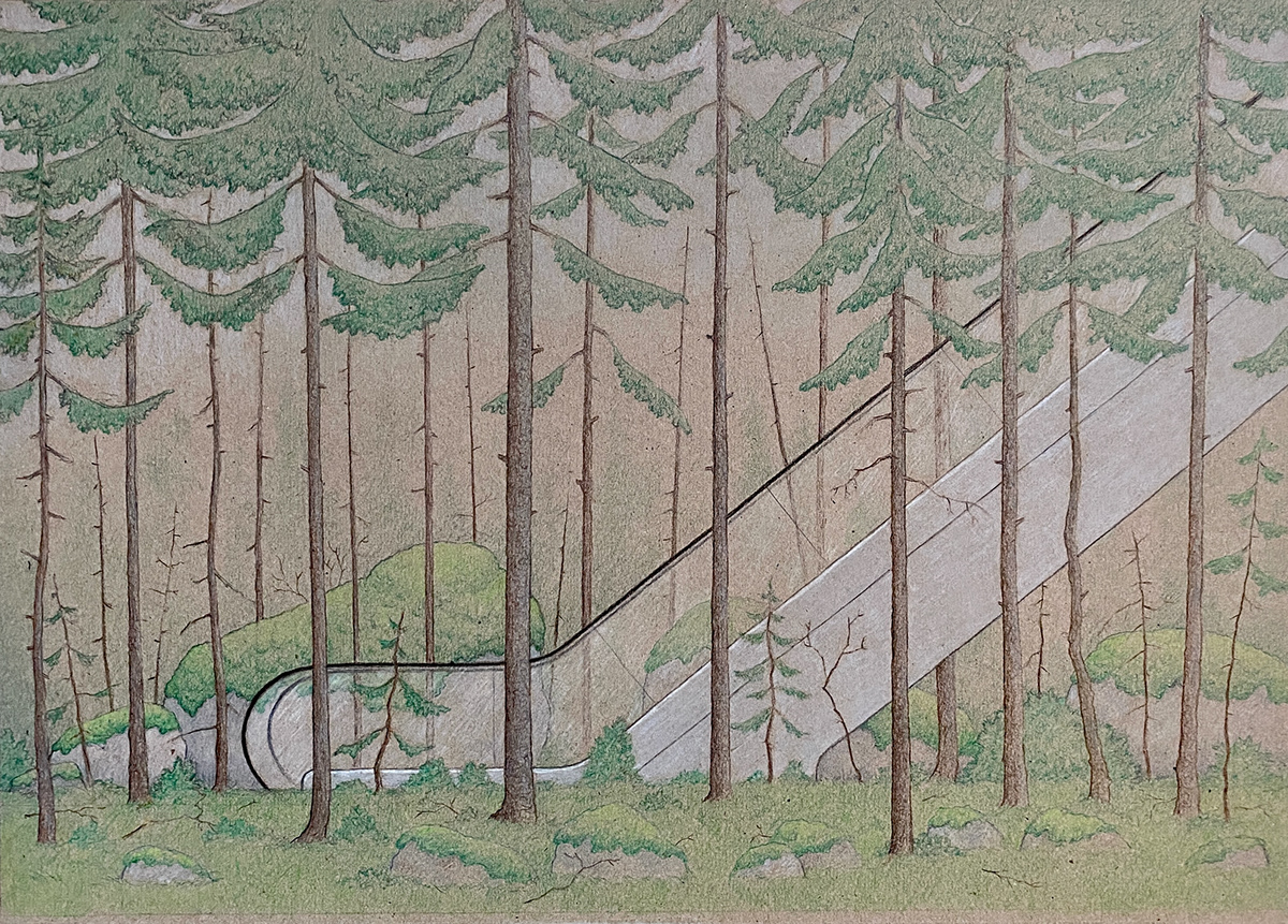 art colored pencils Drawing  escalator forest pine tree stones trees watercolor woods