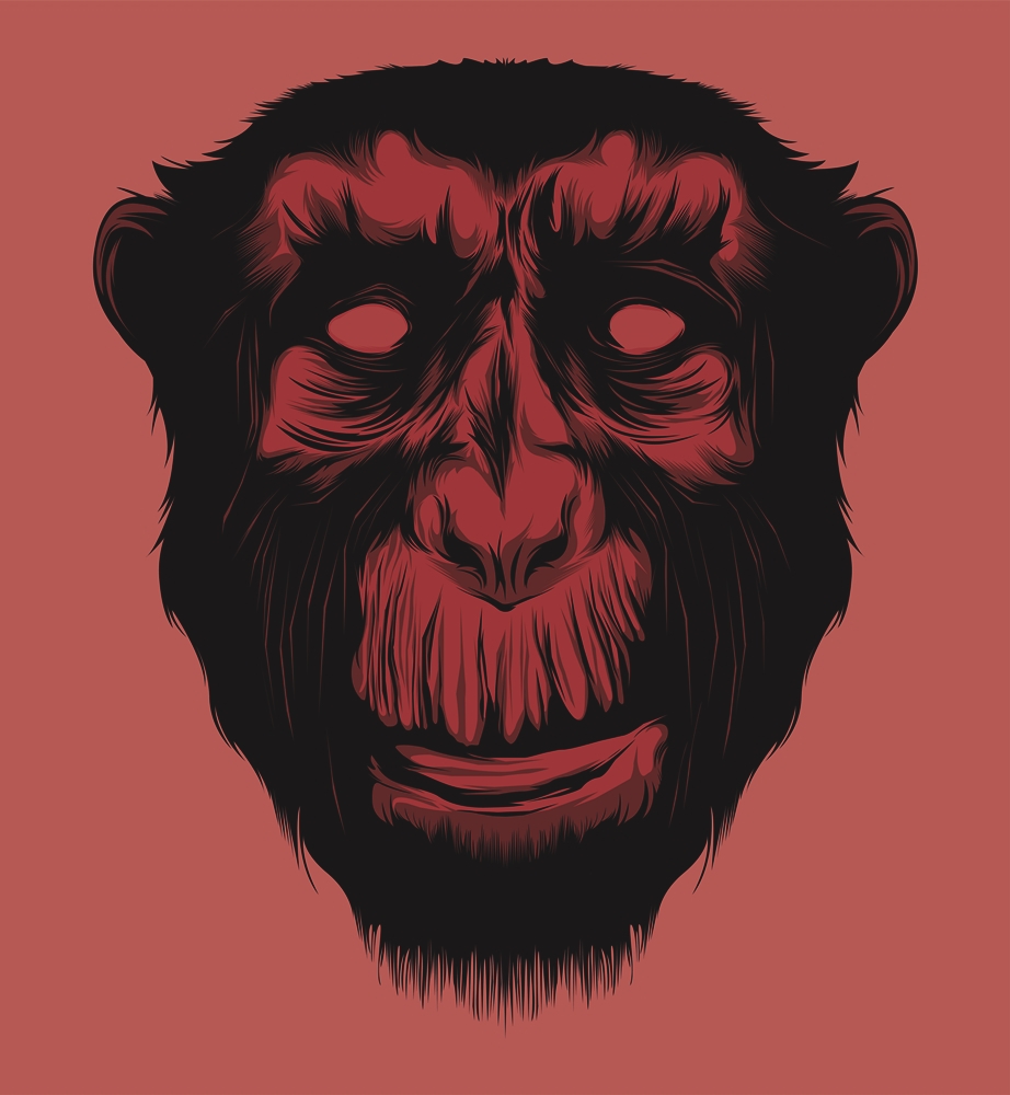 ape animal Simus ILLUSTRATION  art vectorlover vector monkey graphicart vectorart