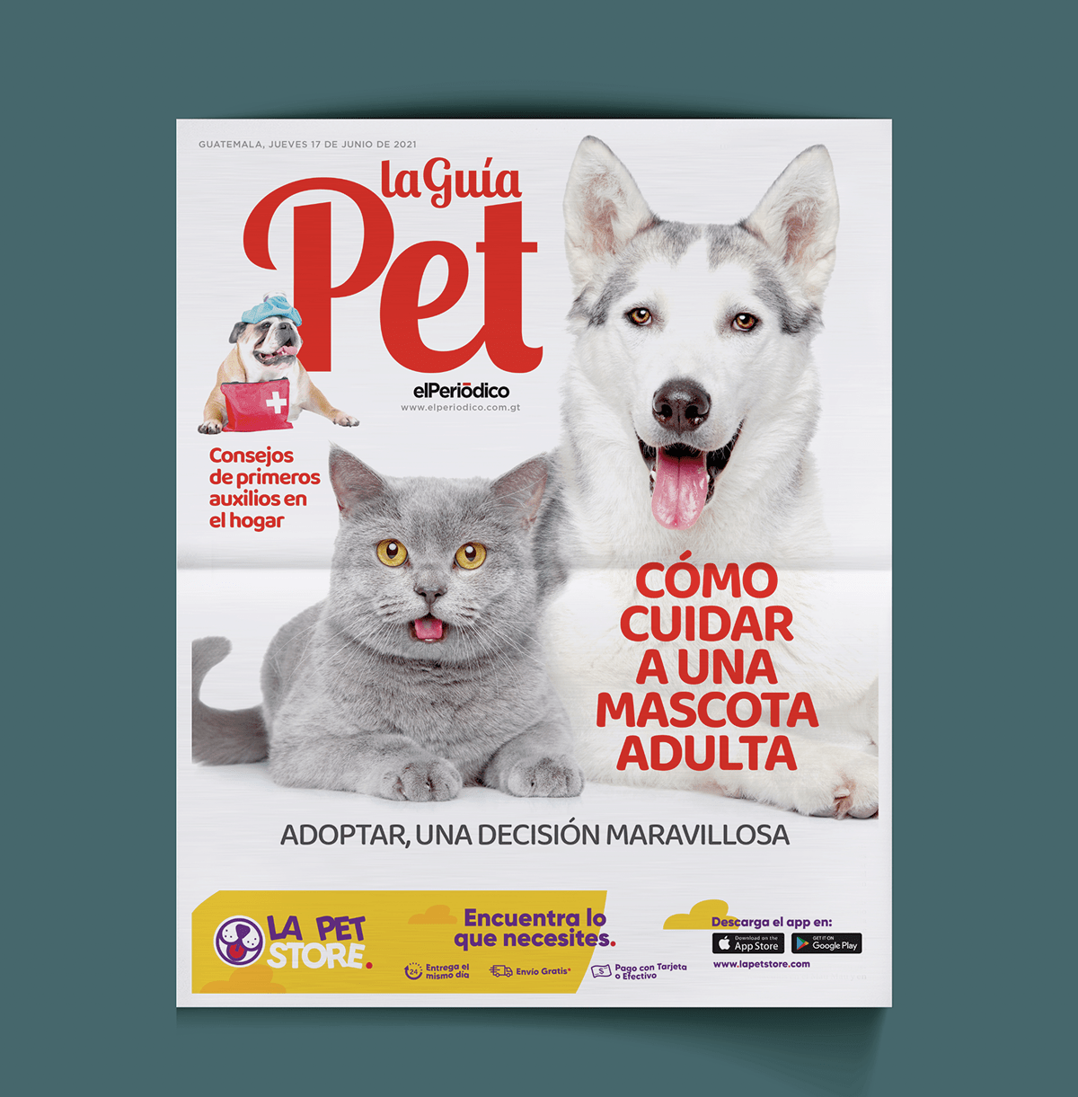 caninos guia Mascota Pet