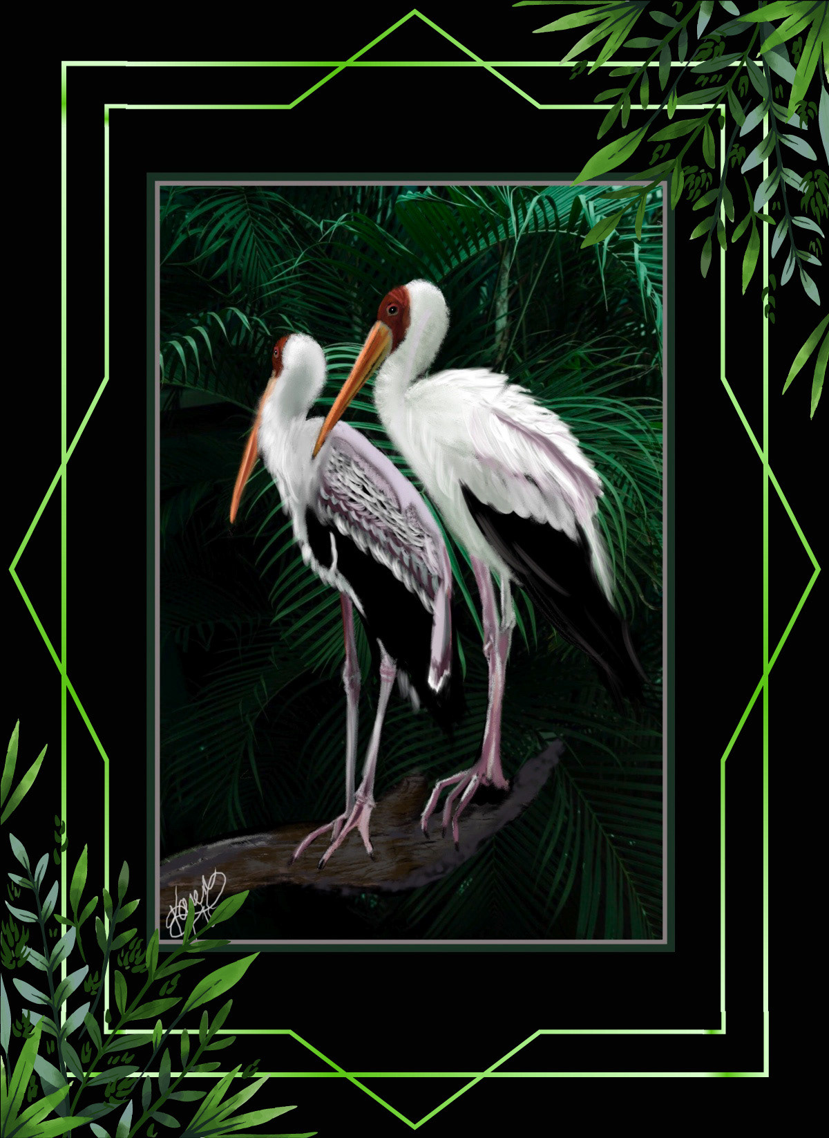Digital Art  digital painting Drawing  illustrations animals birds stork yellow billed stork