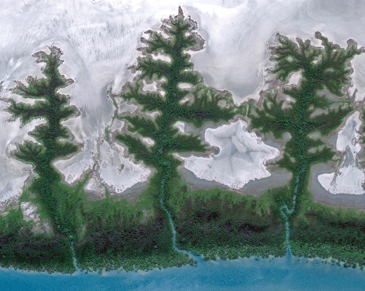 satellite earth river trees art