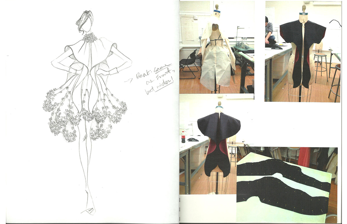 Senior collection - butterfly anatomy Process Book