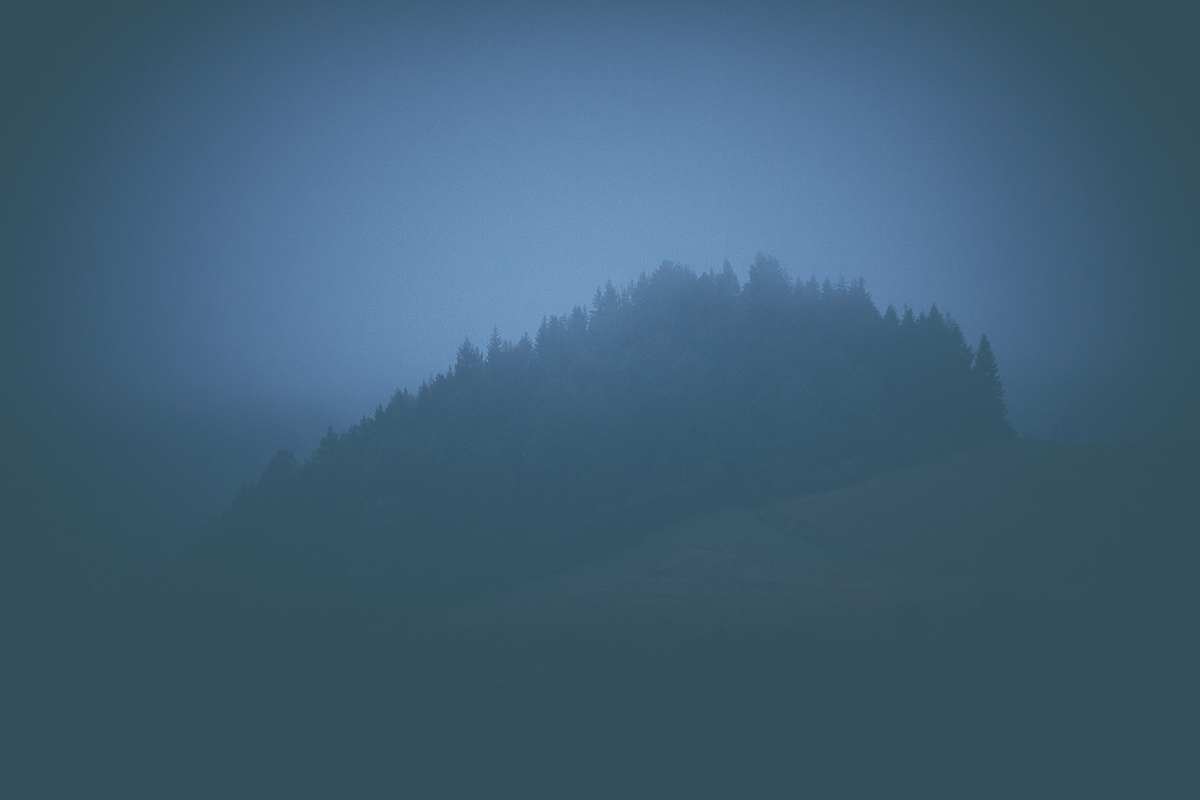 trynidada mountains mist fog solitude mysterious Landscape Nature forest green
