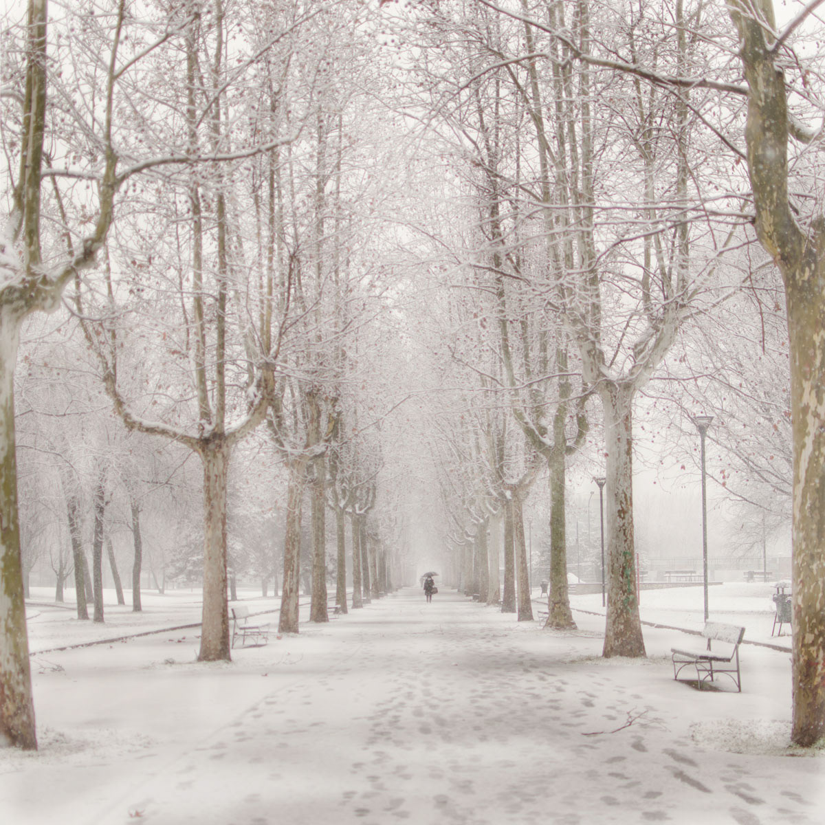 snow city Turin torino Italy italia lanzafami Park Nature shapes lines