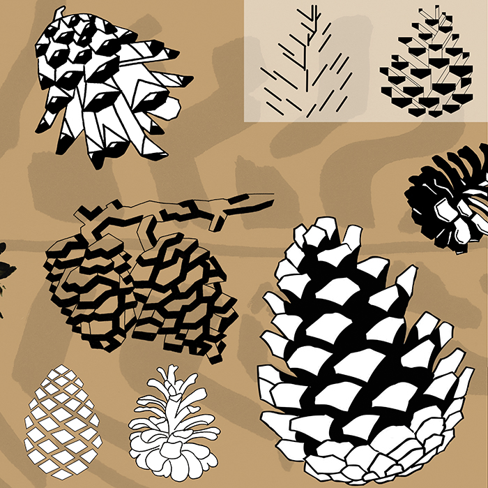 pine cone logo