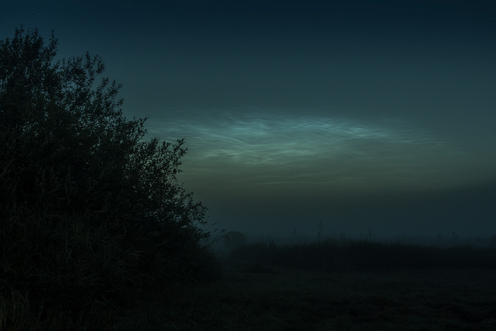 fog night night photography Nature Landscape dreamscape surrealism