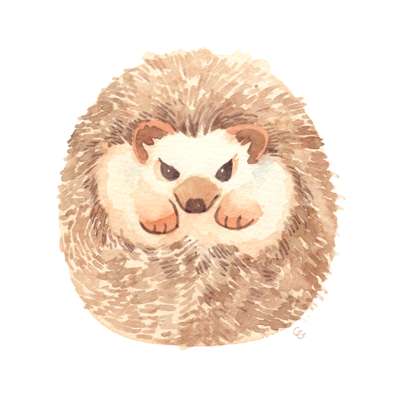 Hedgehog cute animal watercolor