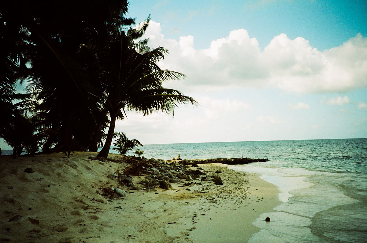 photo centralamerica costarica nicaragua Honduras privateisland Travel Travelling life Ocean palm