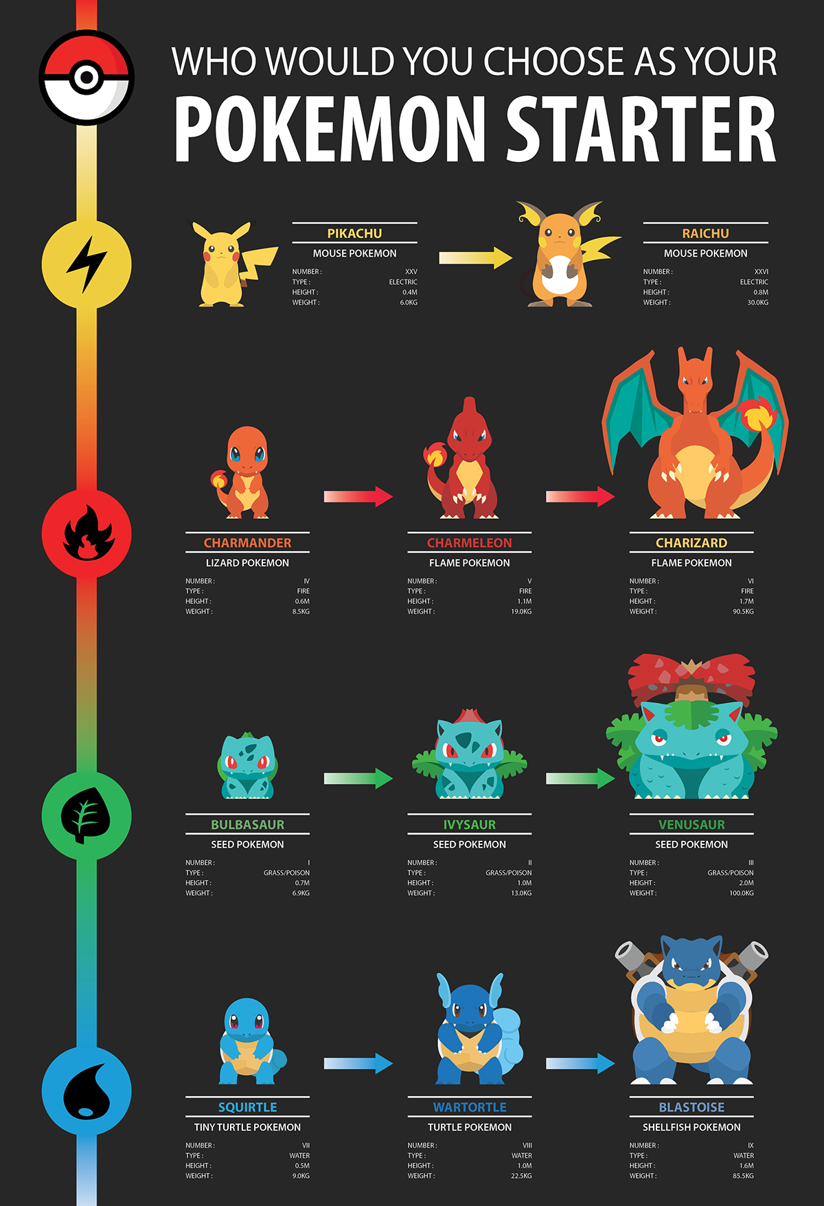 Pokemon pikachu info graphic infographic vector design information design Layout anime cartoon Canto