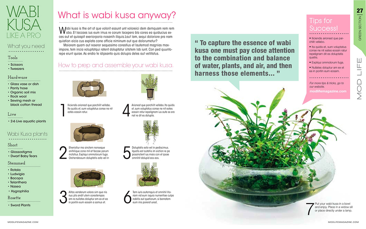 wabi kusa  Plants water glass fish aquatic Flowers magazine spreads publication plants