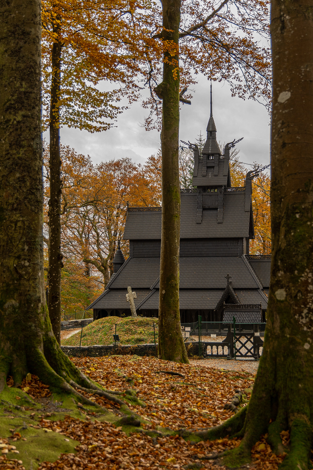 autumn Bergen Fall forest leaves Nature norway SKY stave church