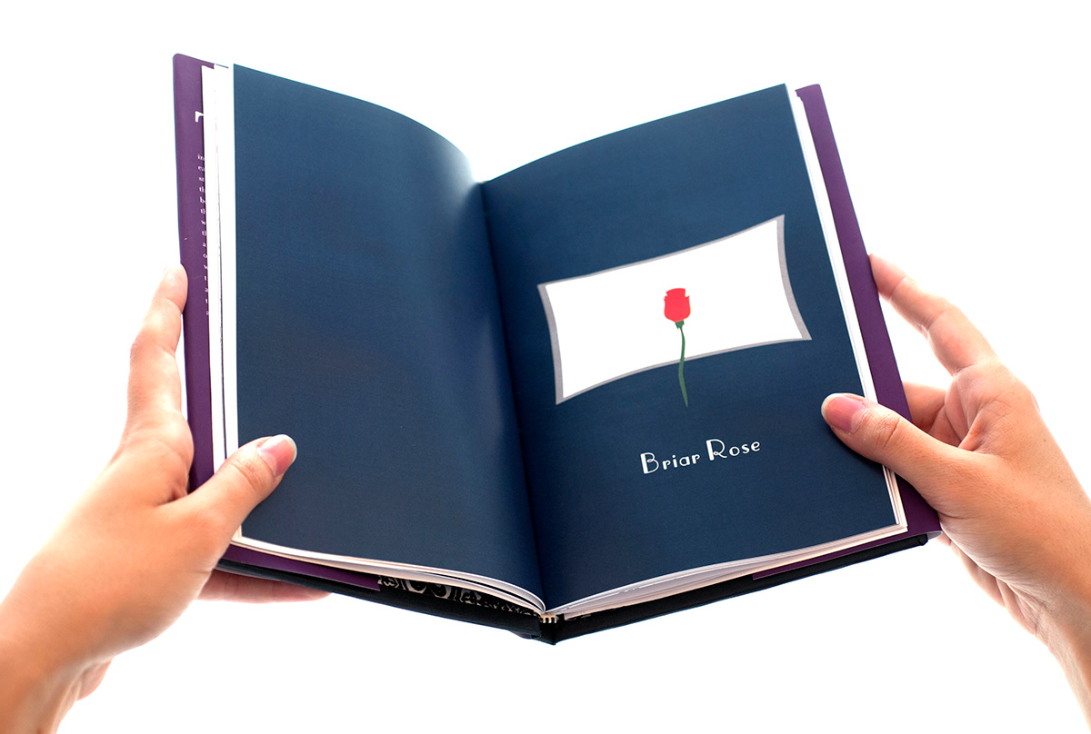 publication design  book design
