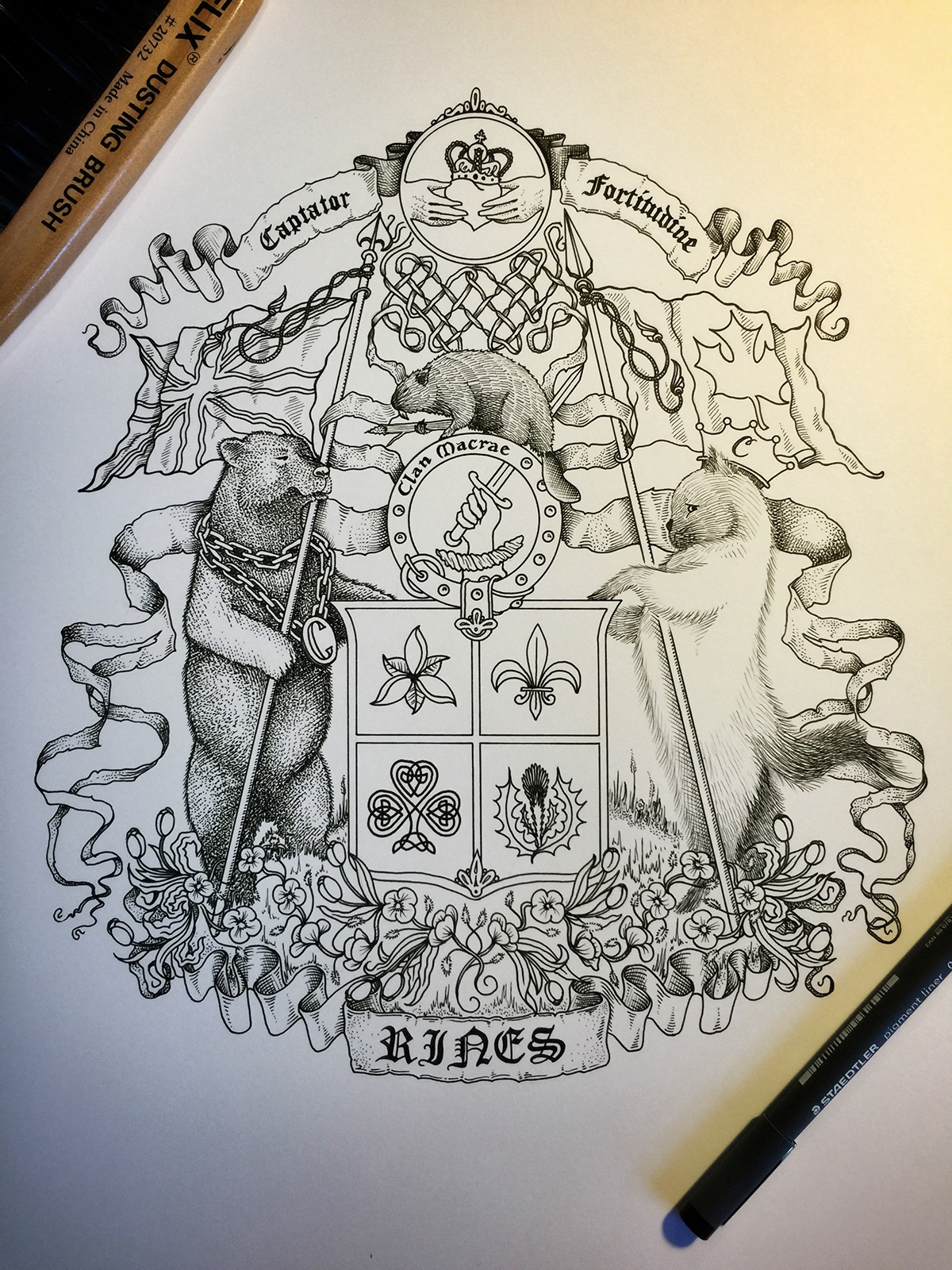 Adobe Portfolio coat of arms family crest bear Cat crown heraldry union jack Canadian Flag claddagh