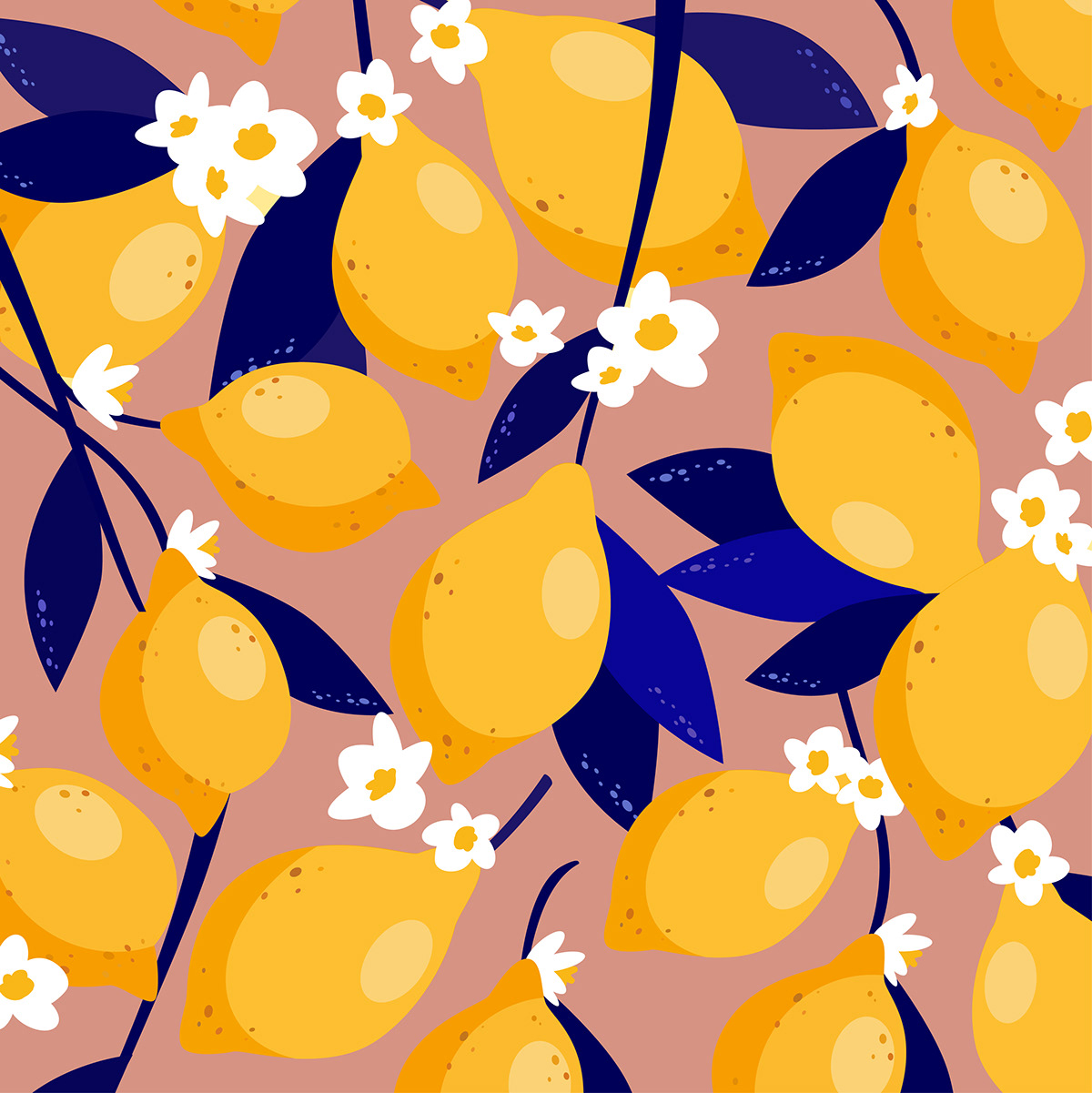 citrus Fruit graphic design  handdrawn ILLUSTRATION  lemon packaging design pattern design  vector vector pattern
